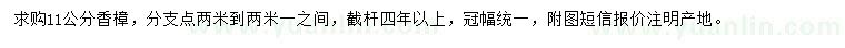 求購11公分香樟