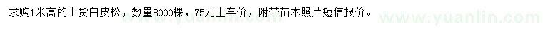 求購高1米白皮松
