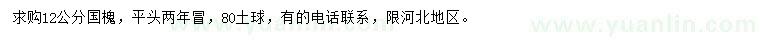 求購12公分國槐