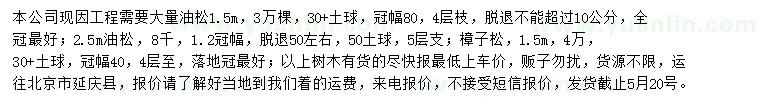 求購(gòu)油松、樟子松