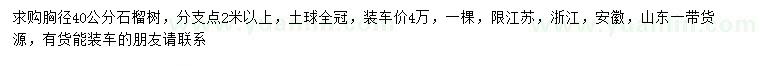 求購胸徑40公分石榴樹