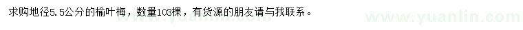 求購地徑5.5公分榆葉梅