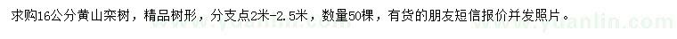 求購(gòu)16公分黃山欒樹(shù)