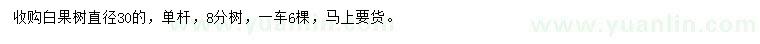 求購直徑30公分白果樹