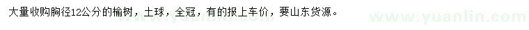 求購胸徑12公分榆樹