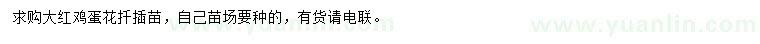 求購(gòu)大紅雞蛋花扦插苗