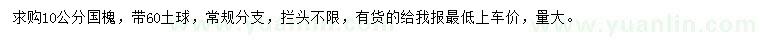 求購(gòu)10公分國(guó)槐