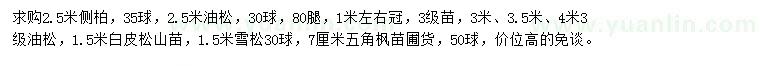 求購側(cè)柏、油松、白皮松等