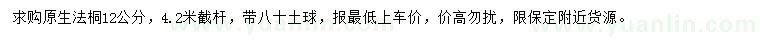 求購12公分原生法桐