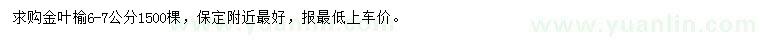求購6-7公分金葉榆