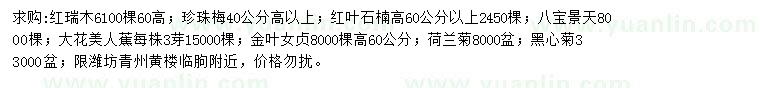 求購紅瑞木、紅葉石楠、八寶景天等