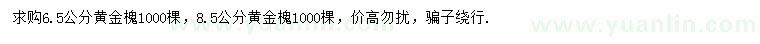 求購6.5、8.5公分黃金槐
