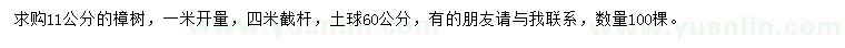 求購1米量11公分樟樹