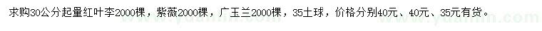 求購(gòu)紅葉李、紫薇、廣玉蘭