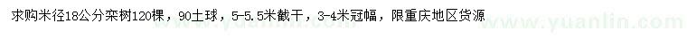 求購米徑18公分欒樹
