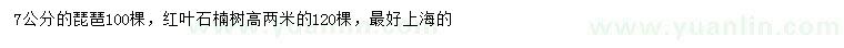 求購7公分琵琶、高2米紅葉石楠