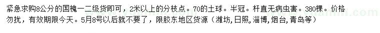 求購8公分國槐