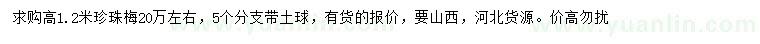 求購高1.2米珍珠梅
