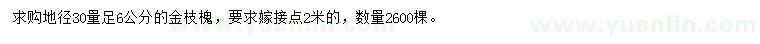 求購地徑30量足6公分金枝槐