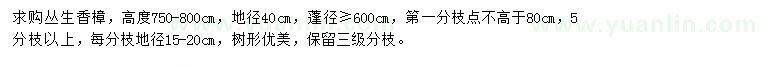 求購叢生香樟