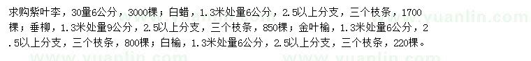 求購(gòu)紫葉李、白蠟、垂柳等