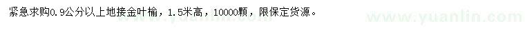 求購0.9公分以上地接金葉榆
