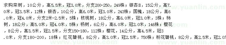 求購欒樹、銀杏、國槐等