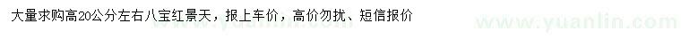 求購(gòu)高20公分八寶紅景天