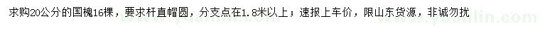 求購20公分國槐