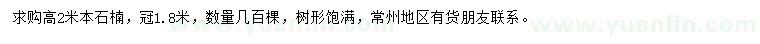 求購(gòu)高2米本石楠