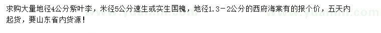 求購紫葉李、國槐、西府海棠