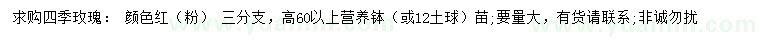 求購(gòu)高60以上四季玫瑰