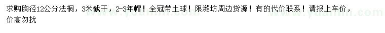 求購胸徑12公分法桐