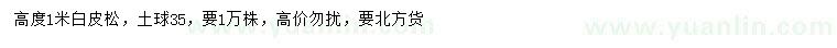 求購高1米白皮松