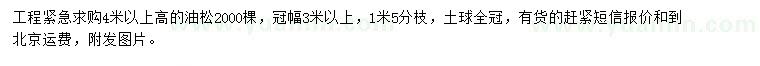 求購(gòu)高4米以上油松