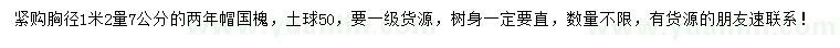 求購胸徑1.2米量7公分國槐
