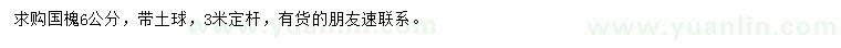 求購6公分國槐