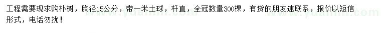 求購(gòu)胸徑15公分樸樹(shù)