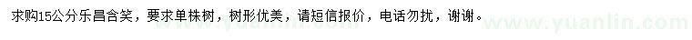 求購15公分樂昌含笑