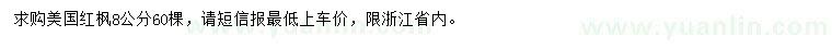 求購8公分美國紅楓
