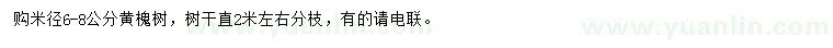 求購米徑6-8公分黃槐樹