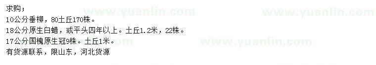 求購(gòu)垂柳、白蠟、國(guó)槐等