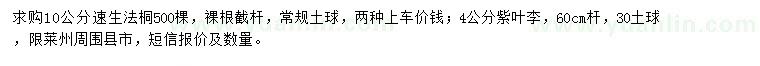 求購(gòu)法桐、紫葉李