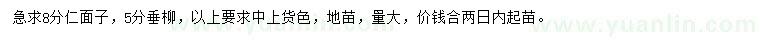 求購8公分仁面子、5公分垂柳