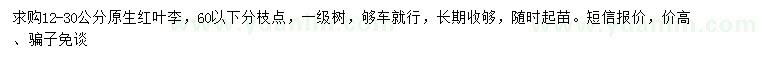 求購12-30公分原生紅葉李
