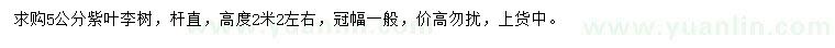 求購(gòu)5公分紫葉李
