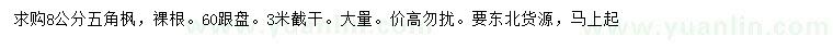求購(gòu)8公分五角楓