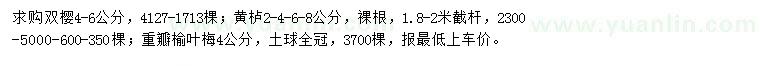 求購雙櫻、黃櫨、榆葉梅