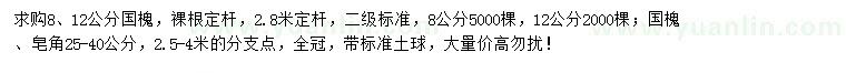 求購國槐、皂角