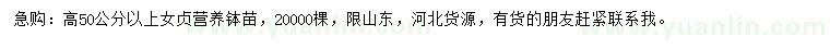 求購高50公分以上女貞營養(yǎng)缽苗